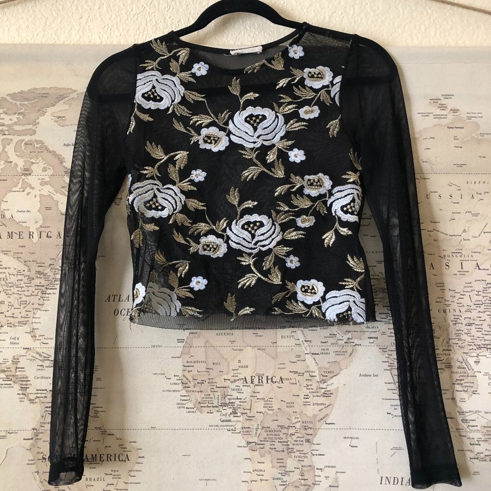 Embroidered Sheer Crop Top
